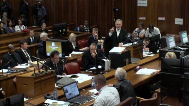 Pistorius trial: Witness heard Reeva's 'terrible screams'