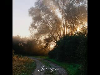 Mandy - Je te rejoins (version 2014) EXTRAIT