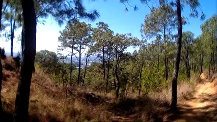 the holy-trail-parte 2