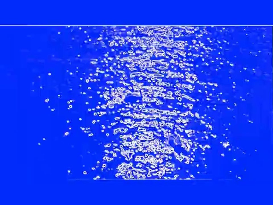 Vivaldi en plein air...