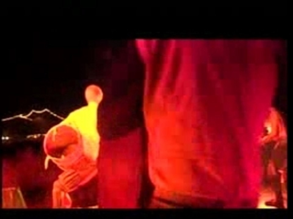 - Les Commandos Percu Le Concert de Feu