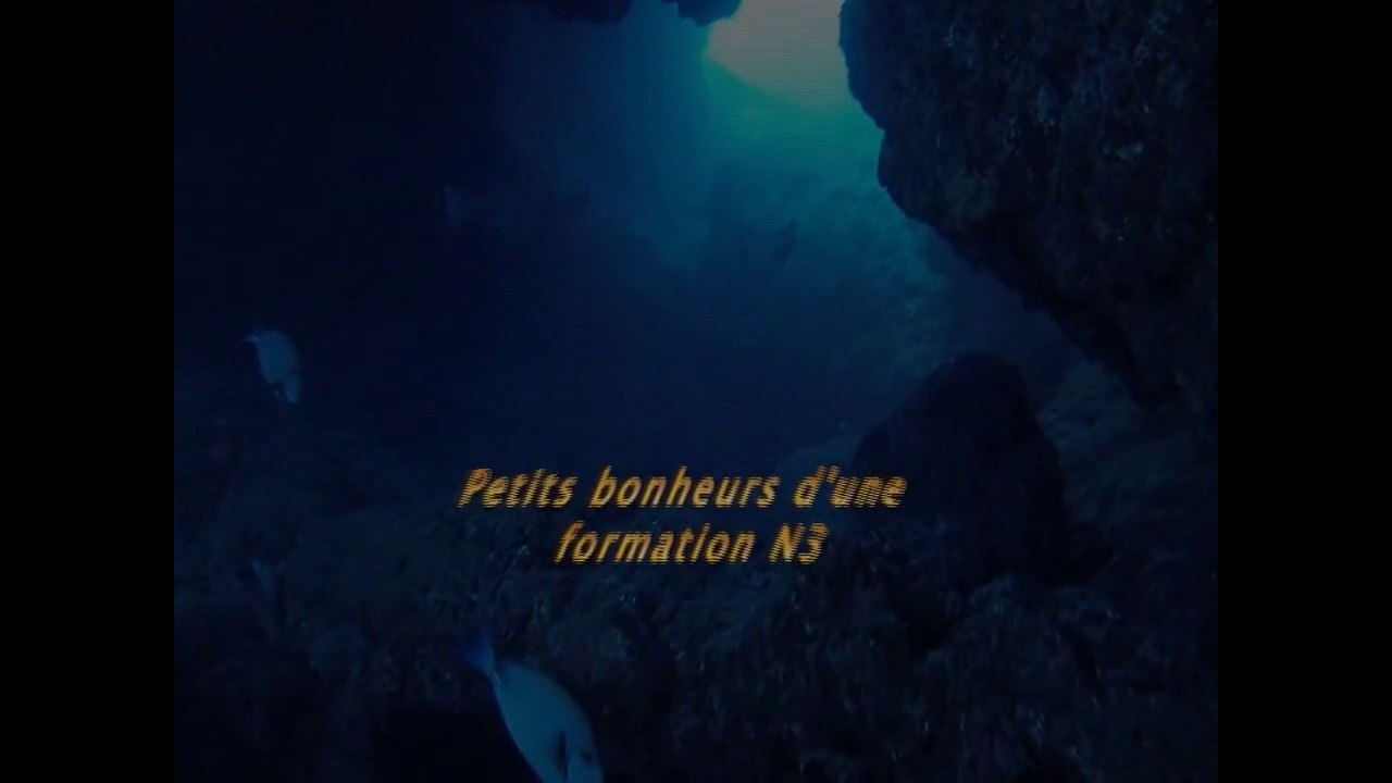 Petits bonheurs en formation N3