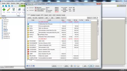 Tutoriel la saisie des variables sur CIEL Paye