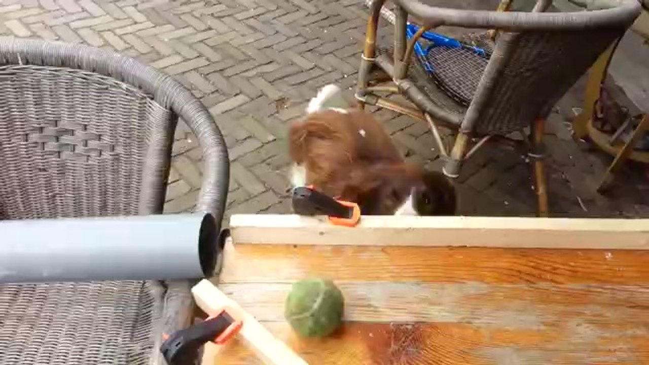 Nie wieder einen Tennisball werfen