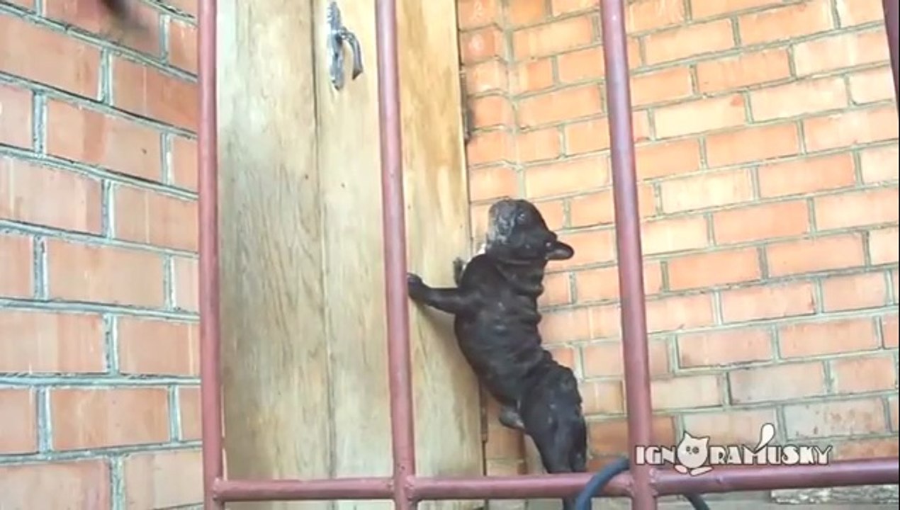 Öffne die verdammte Tür!