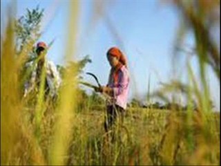 (قصيده غزليه) يا سمراء شبيهة عدن (الحسين النزيلي)