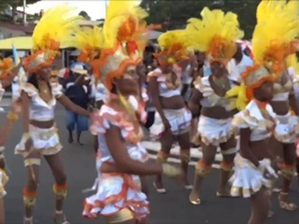 carnaval - double-face a baillif 2014