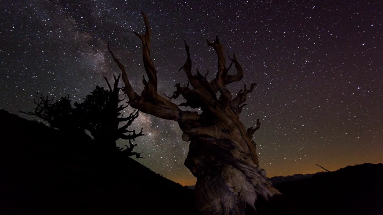 TimeScapes: Rapture