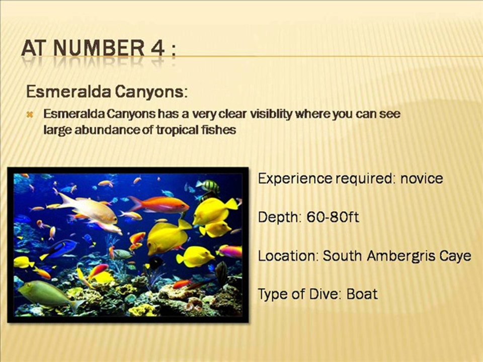 5 Spots in Belize for Scuba Diving