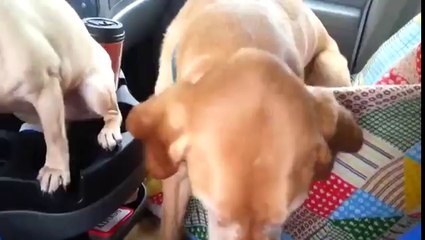 Why Does Daisy Get Her Ice Cream First- - YouTube