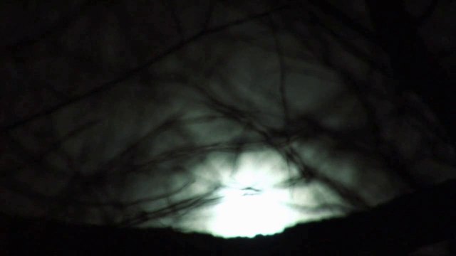 Têtes de Bois - La luna