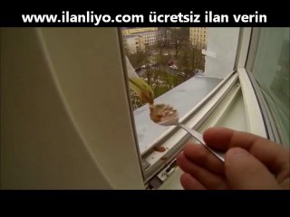 Hasta Ziyaretine Gelen Aç Martı