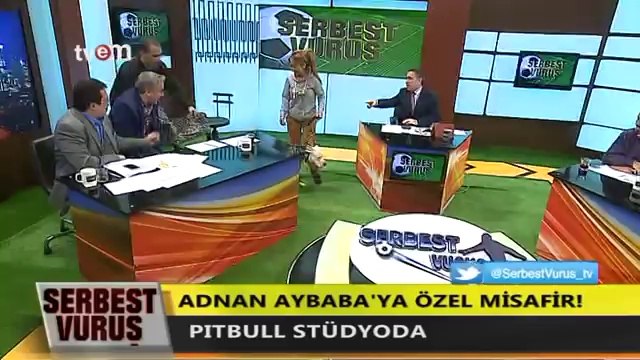 Canlı Yayına Pitbull Çıkarıp Koltuğa Oturtmak (Adnan Aybaba İçerir)