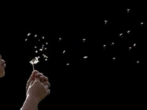 Ann Gaytan chante Léo Ferré - Vous savez qui je suis maintenant