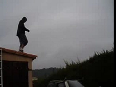 Nicoi aime son cyprès