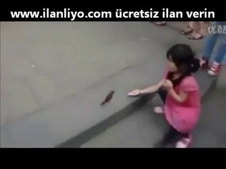 Sokaktaki İnsanlardan Bozuk Para Toplayan Kuşlar..