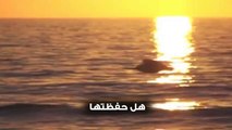 خالد الراشد - فيديو قد يغير حياتك للابد HD ‎