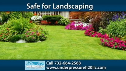 Belmar Roof Cleaning | Under Pressure H2O