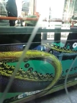 Le Tramway De Montpellier , de Tonelles à Pérols Etang De L'or