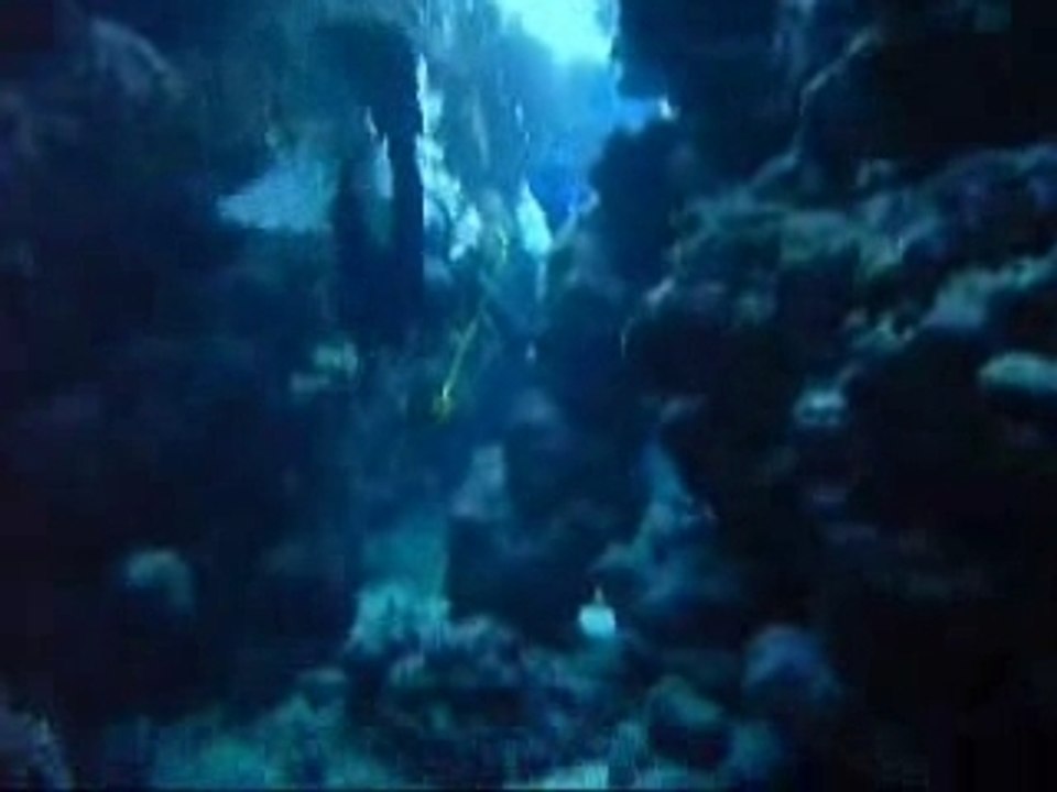Red Sea Nov 06_0001