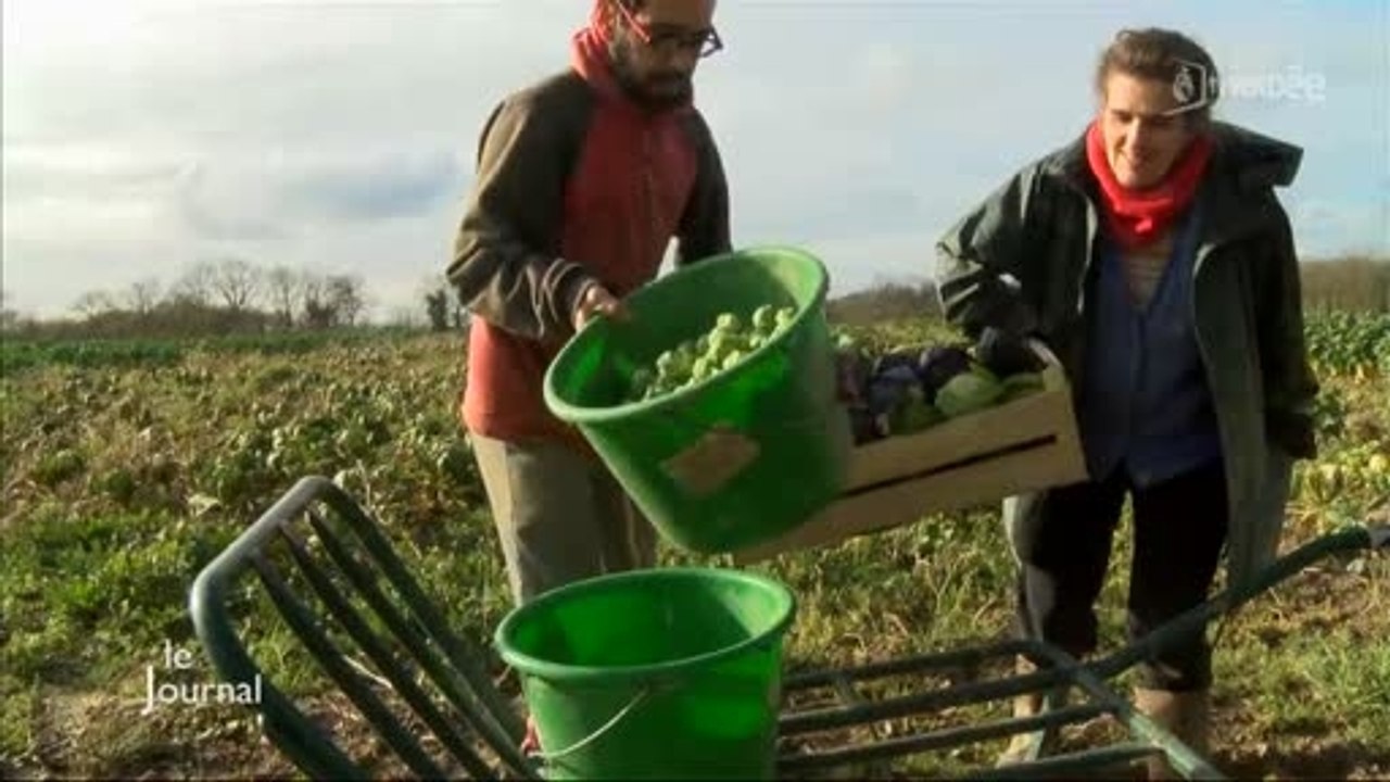 Enseignement agricole : Vente directe au Lycée Nature