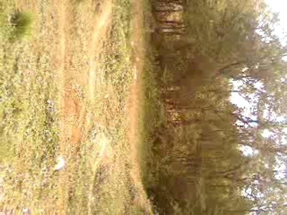 Video-0001