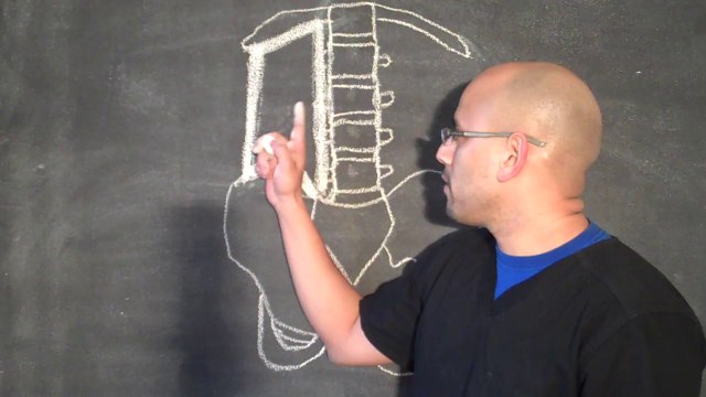 Car Accident Doctor Atlanta - Strengthen your Low Back WITHOUT Moving - Personal Injury Doctor Atlanta - Atlanta Chiropractor - Chiropractor Gainesville GA - Personal Injury Doctor Gainesville GA - Car Accident Doctor Gainesville GA