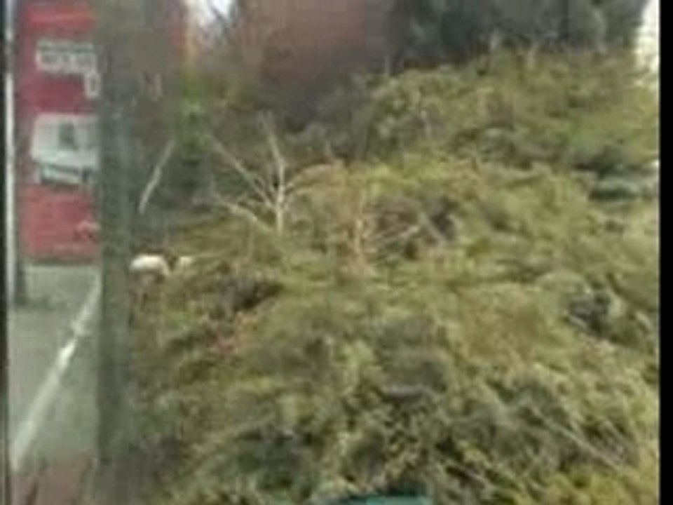 La fête de l'abribus