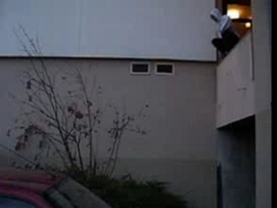 Nicoi l'ami du buisson