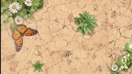 Powerblock Elite 90 Review