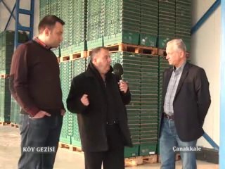 154 Çanakkale Kepez meyve dağıtıcısı ve Simental çiftliği