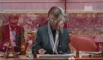 Michèle Bonneton - Question orale à Mme la Ministre de l'artisanat, du commerce et des TPE, Sylvia Pinel - 25 février 2014