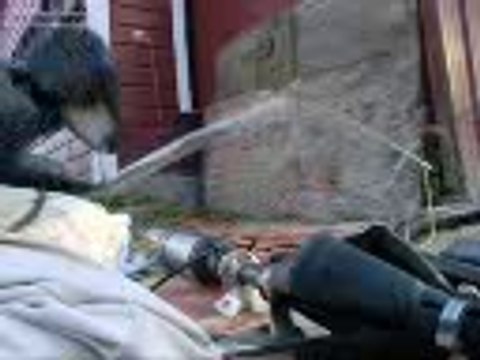 0963123900-HN Máy bơm chìm giếng khoan,bơm chìm hỏa tiễn,PENTAX:4ST10-19 (2.2kw), 4ST10-24 (3kw)