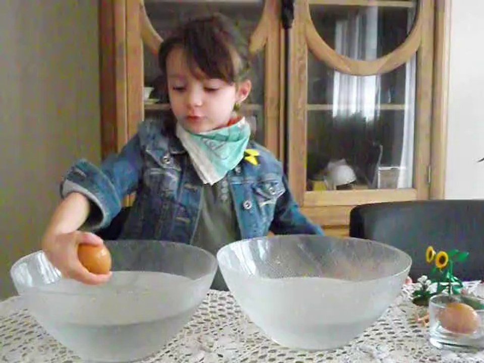 Défi de l'oeuf qui flotte pour l'émission " On est pas que des cobayes "