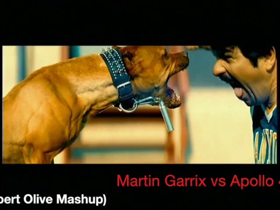 Martin Garrix vs Apollo 440  - Stop the Animals (Albert Olive Mashup)