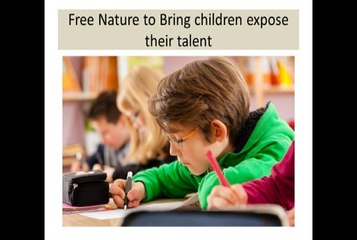 Efficient Daycares in Electronic City - Pollination Schools