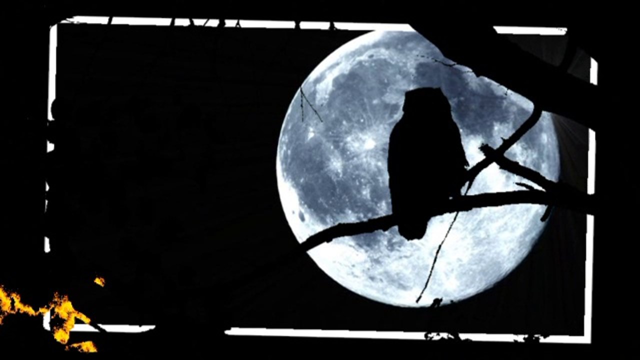 night bards／SHAKATAK