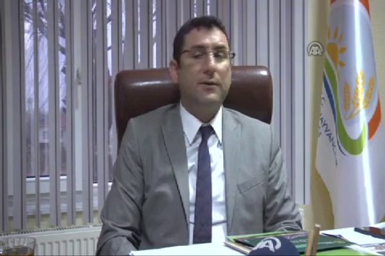 Türkiye kuraklığa dayanıklı hububat yetiştiriyor