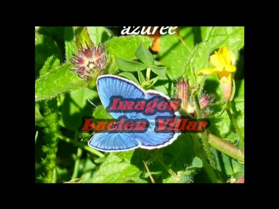 Présentation 40 ans 2eme partie