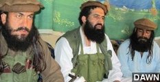 Pakistani Taliban Offer Month-Long Cease-Fire