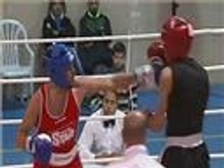 رياضة الملاكمة في فلسطين