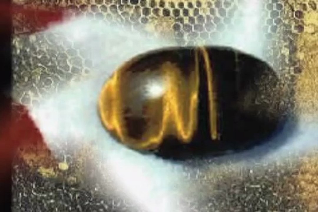 Les miracles d_ALLAH 2 (Miracles of God 2)