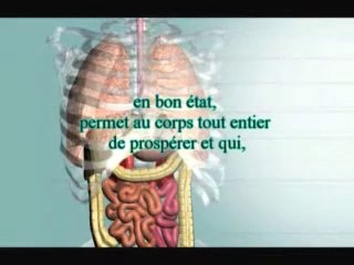 Hadith 06 - Le licite et l'illicite