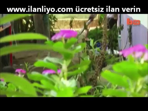 Diliyle Resim Yapan Adam