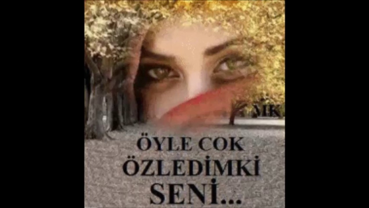 METİN ÇELİK YABAN GÜLÜ