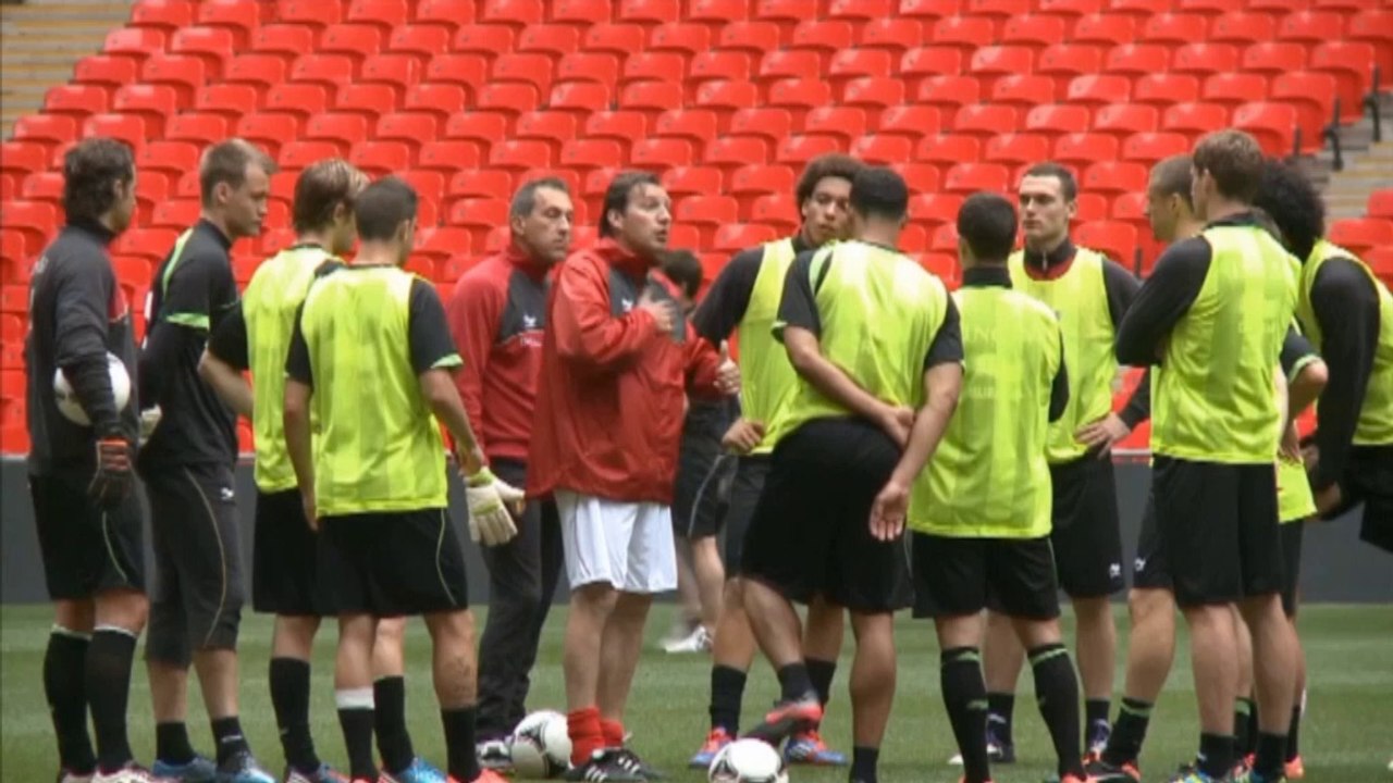 WM 2014: Wilmots: 'Was wollen Sie?'