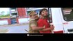 Mu Diwana To Pai Official Trailer | Mu Diwana To Pai Movie | Mu Diwana To Pai Film