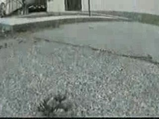 -BMX - Don't Quit Your Day Job