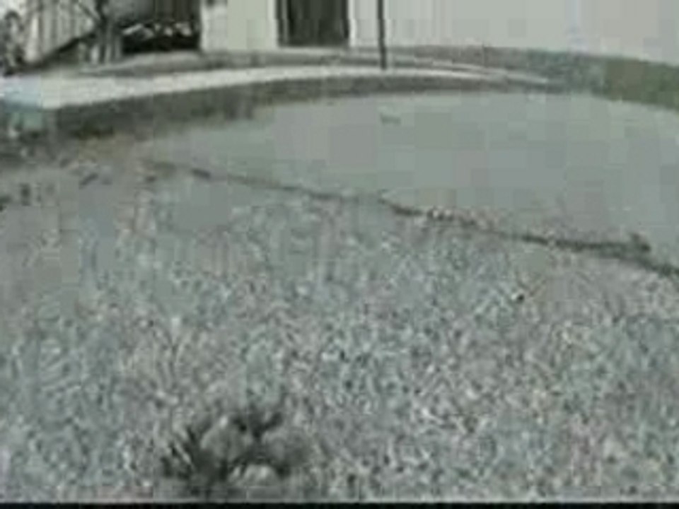 -BMX - Don't Quit Your Day Job