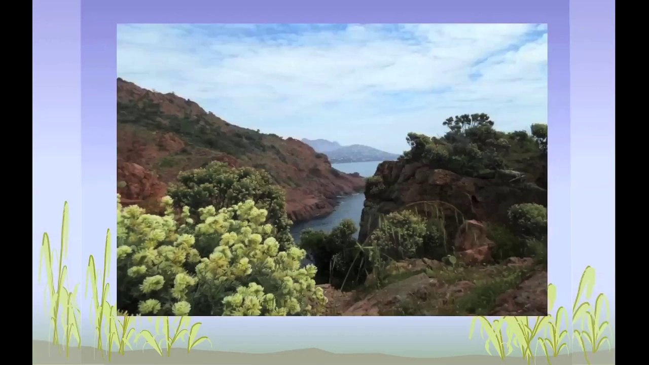 Saint-Tropez e il Var